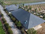 Báo Giá Thi Công Mái Ngói Tại TPHCM Mới Nhất 2025